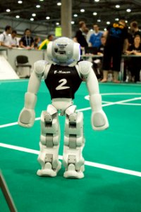 RoboCup 2016 Leipzig - Standard Platform League (28)