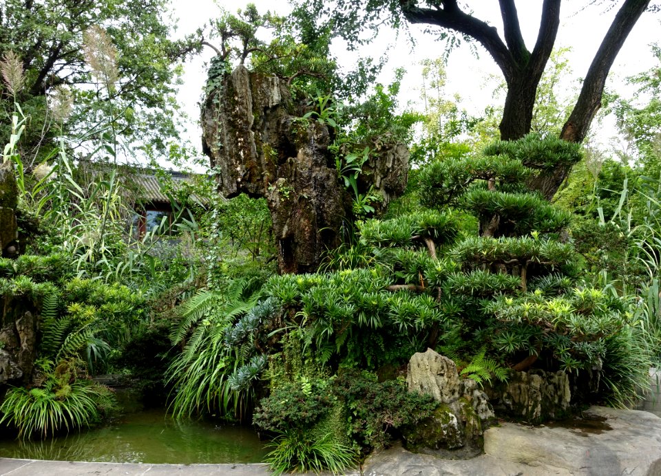 Rock - Wuhou Shrine - Chengdu, China - DSC05417