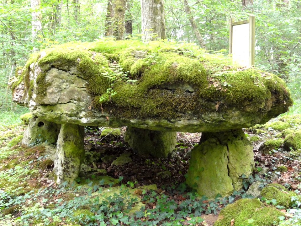Rochefort-sur-la-Côte (Haute-Marne) dolmen du bois de la Grande Bay (02)