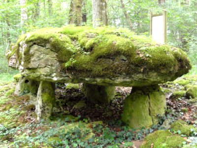 Rochefort-sur-la-Côte (Haute-Marne) dolmen du bois de la Grande Bay (02)