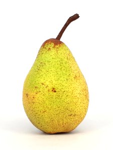 Rocha Pear 2017 B1
