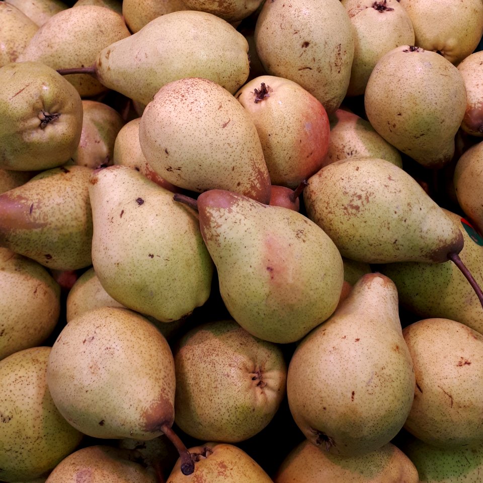 Rocha Pears 2017 A1