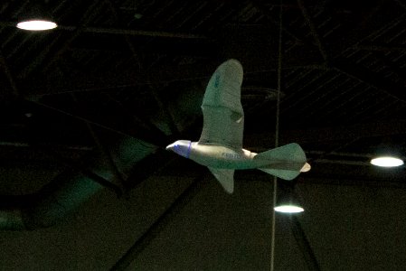 RoboCup 2016 Leipzig - Festo SmartBird (3)