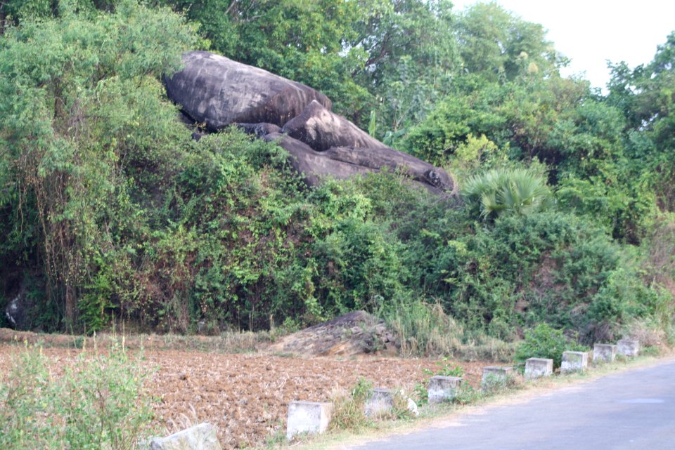 Roadside Scenery of Palakkad