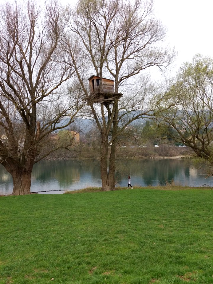 Rochetaillée-sur-Saône - Chemin de Halage - Cabane de Tadashi Kawamata