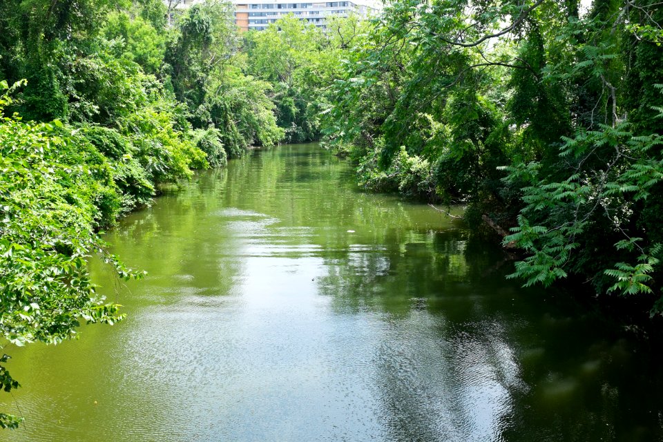 Rock Creek Basin of the Chesapeake and Ohio Canal