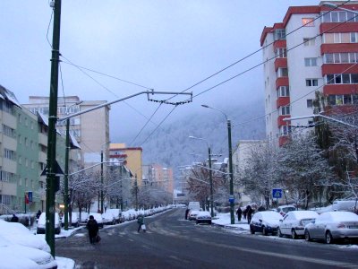 ROBrasovRacadau5