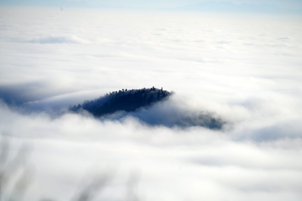 Fog nebellandschaft belchenflue