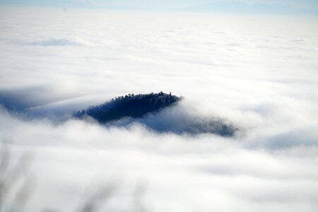 Fog nebellandschaft belchenflue