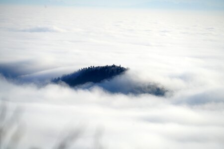 Fog nebellandschaft belchenflue photo