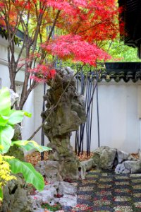 Rock - Lan Su Chinese Garden - Portland, Oregon - DSC01534