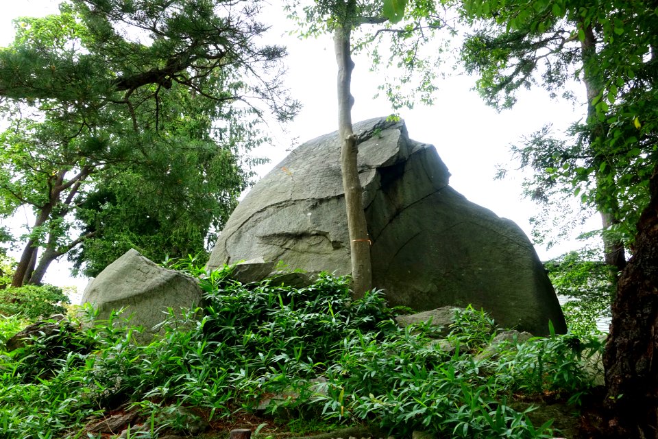 Rock - Morioka Castle - Iwate, Japan - DSC03968