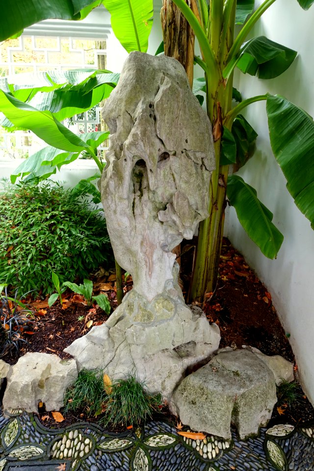 Rock - Lan Su Chinese Garden - Portland, Oregon - DSC01496