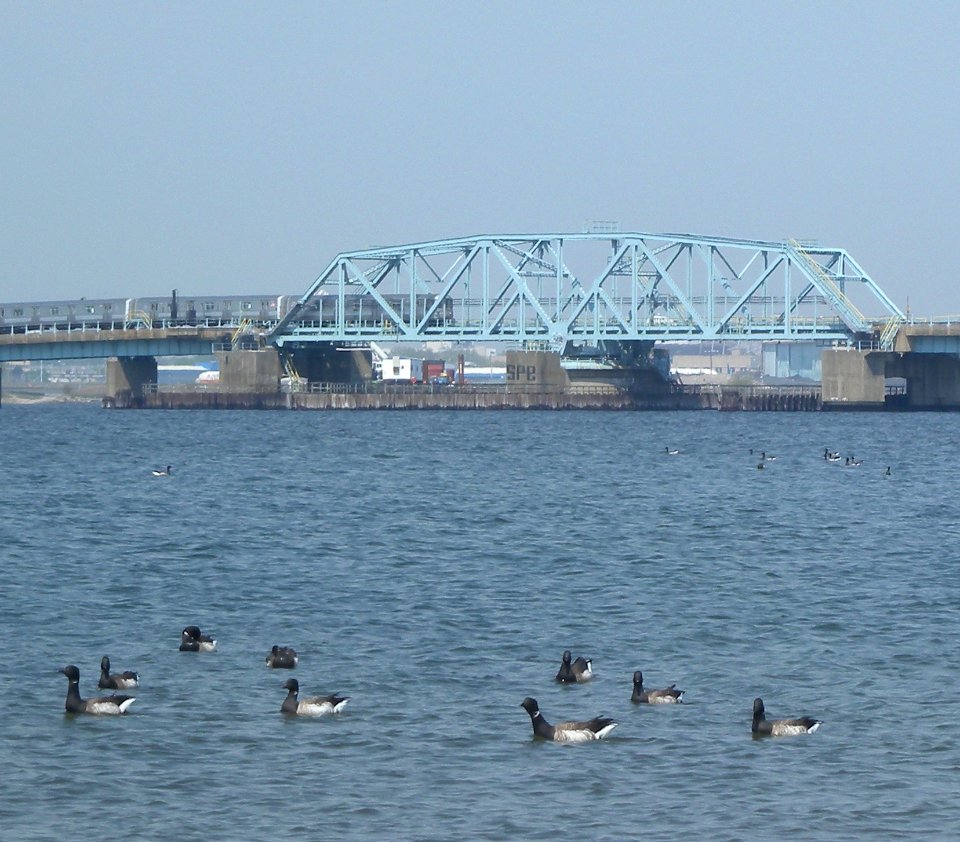 Rock Bay swing bridge ducks jeh