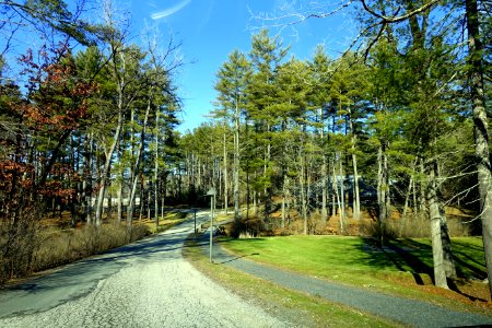 Roadway - Bard College at Simon's Rock - Great Barrington, MA - DSC07423
