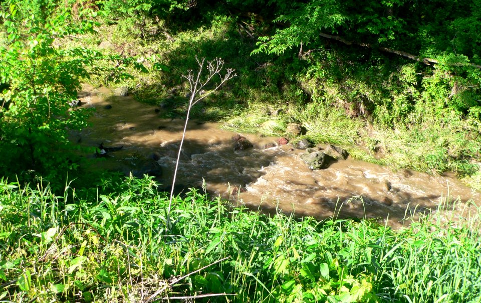Rock Creek Station SHP creek crossing