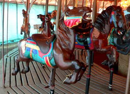 Ross Park Carousel 5