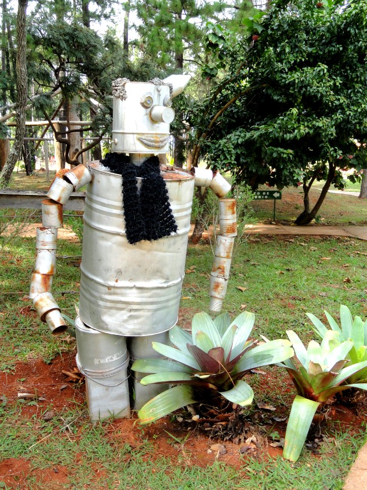 Robot - Jardim Botânico de Brasília - DSC09687
