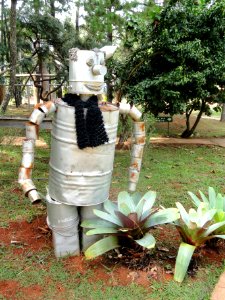 Robot - Jardim Botânico de Brasília - DSC09687