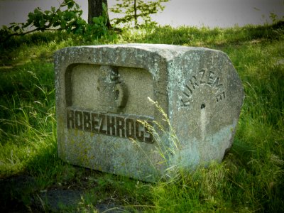 Robezkrogs