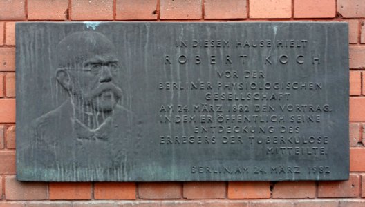 Robert Koch memorial - Charité, Berlin, Germany - DSC02389