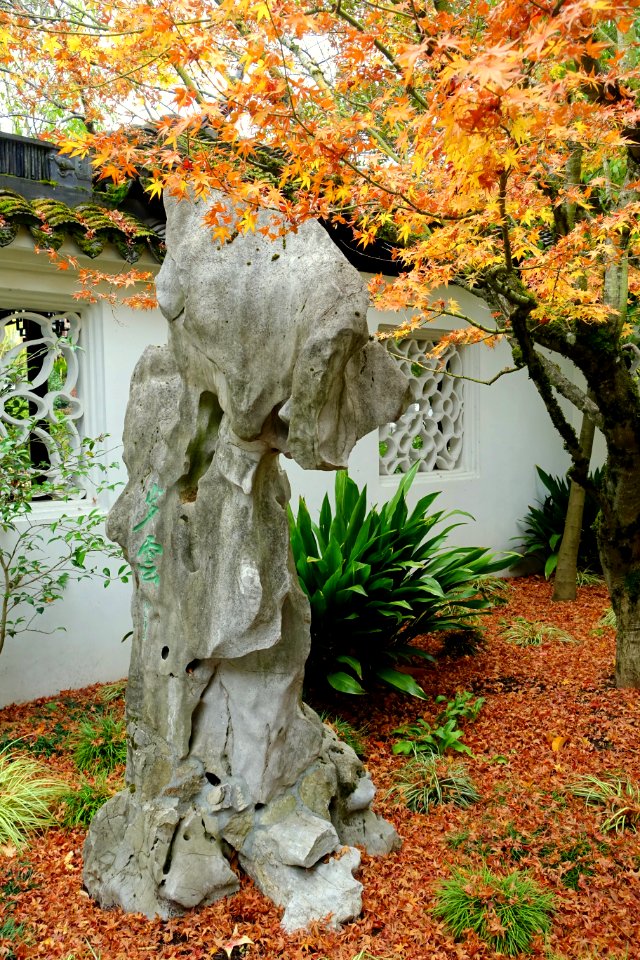 Rock - Lan Su Chinese Garden - Portland, Oregon - DSC01427