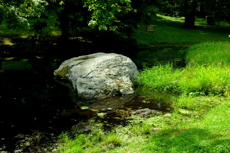 Rock - Newton Cemetery & Arboretum - Newton Center, MA - DSC07119
