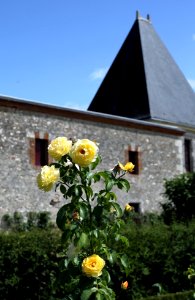 Rosier Château de Cheverny 10082019 05 0472
