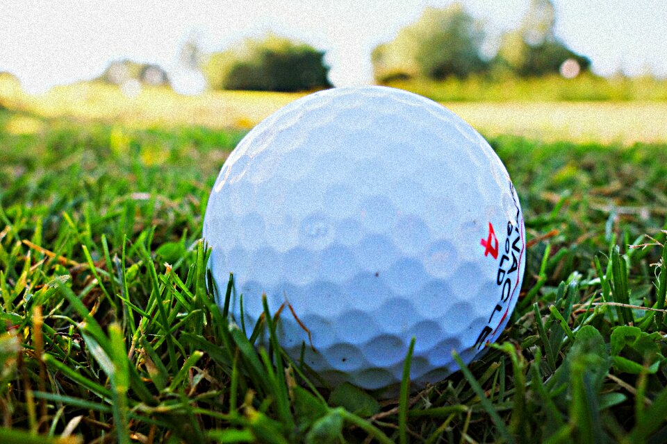 Golf course sport grass