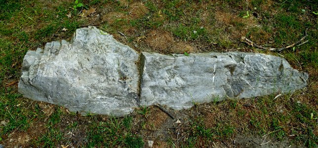 Rock - Arlington, MA - DSC02548
