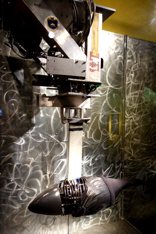 RoboTuna, 1994, view 1 - MIT Museum - DSC03729