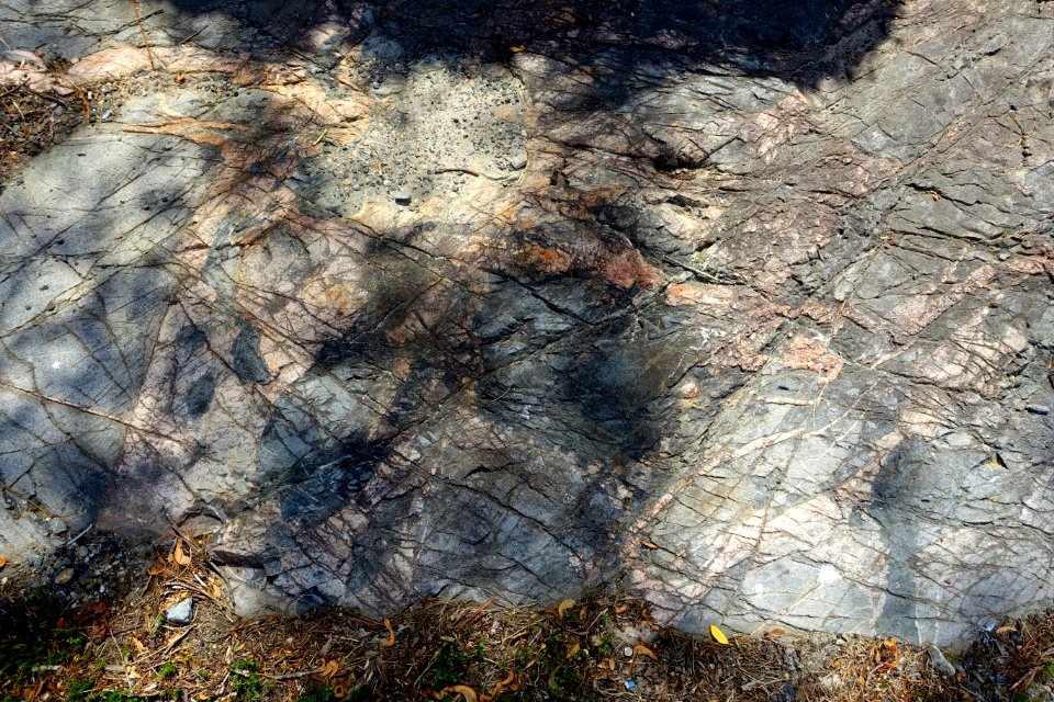 Rock - Arlington, MA - DSC02525