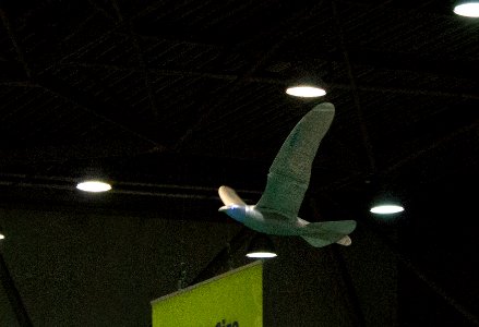 RoboCup 2016 Leipzig - Festo SmartBird (4)