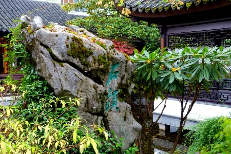 Rock - Lan Su Chinese Garden - Portland, Oregon - DSC01292