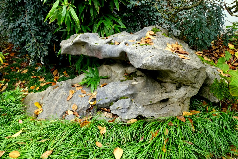 Rock - Lan Su Chinese Garden - Portland, Oregon - DSC01600