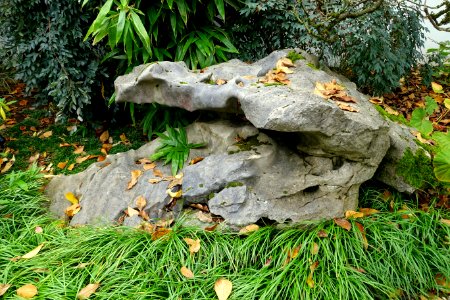 Rock - Lan Su Chinese Garden - Portland, Oregon - DSC01600