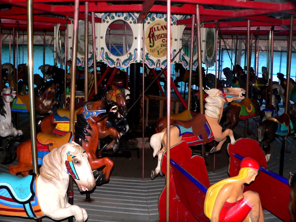 Ross Park Carousel 1