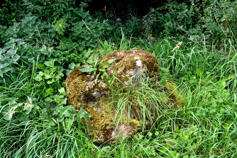 Roadside cross, Old Cleeve (2020-09-15) 03