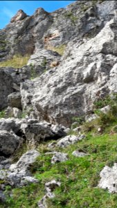 RotwandMurmeltier 01
