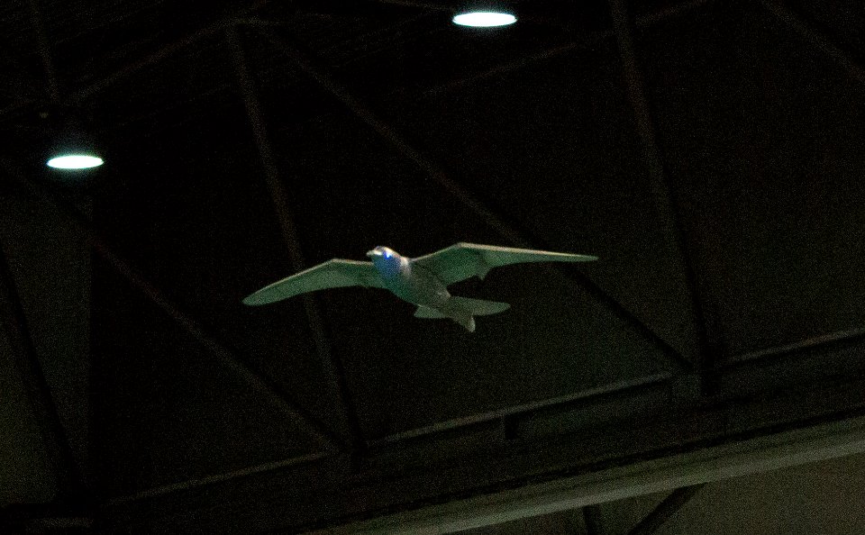 RoboCup 2016 Leipzig - Festo SmartBird (2)