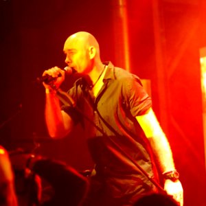 Rotersand etropolis2014 (03)