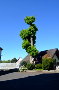 Rotenhain, Kirche, Kreuz