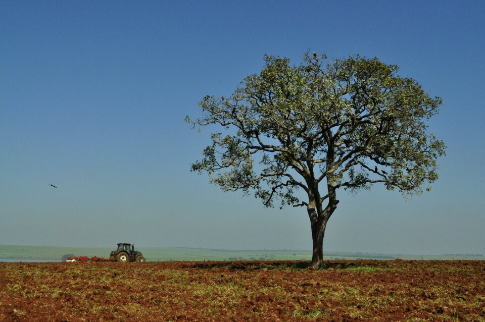São paulo farmer farm