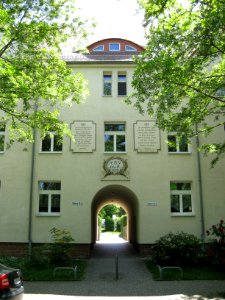 Rotdorn 4-10 (2)