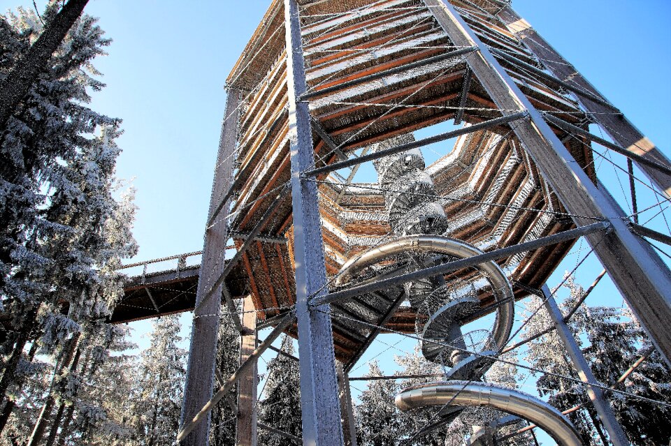 Lookout tower treetops