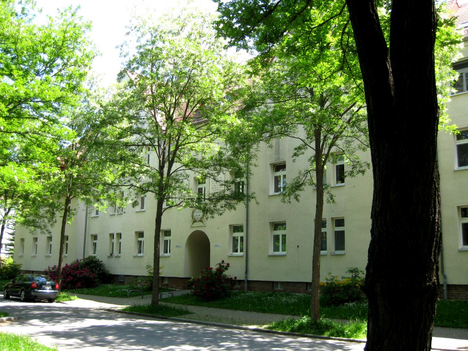 Rotdorn 4-10