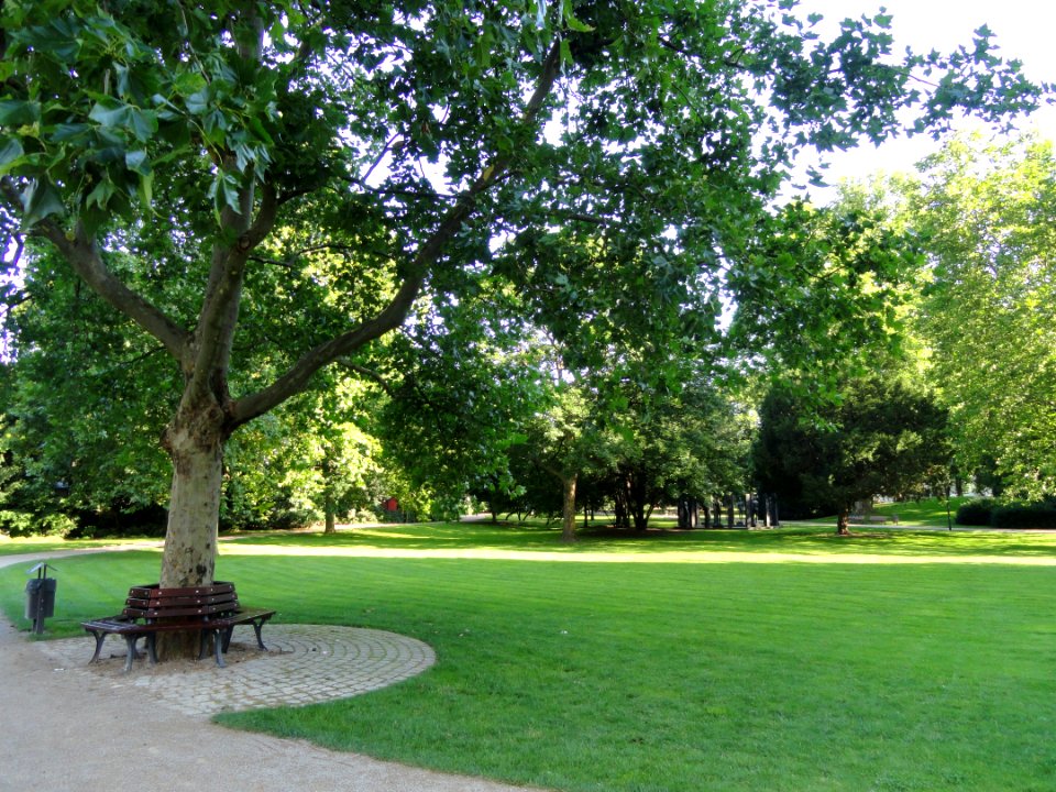 Rothschildpark - Frankfurt am Main - DSC02336