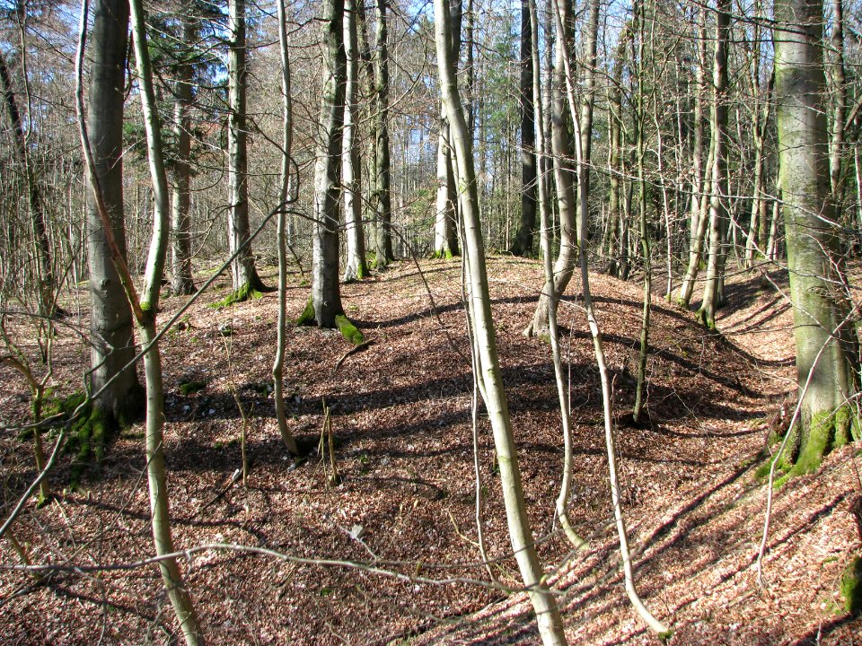 Rothenfels (Deining) (2)