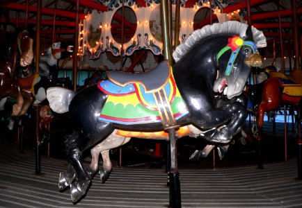 Ross Park Carousel 3