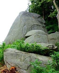 Rock - Morioka Castle - Iwate, Japan - DSC03970